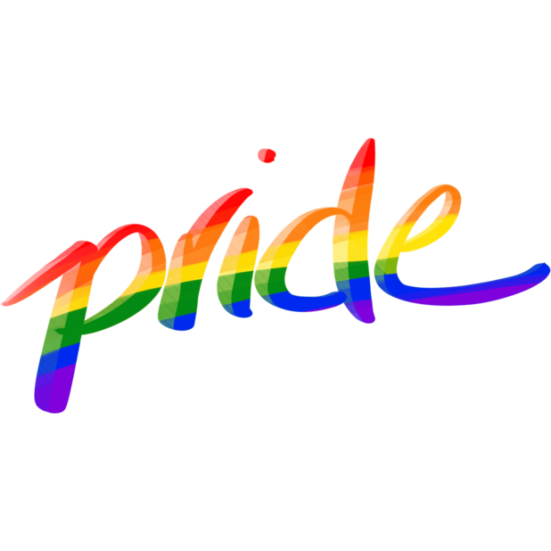 LGBT Pride Pack messages sticker-10
