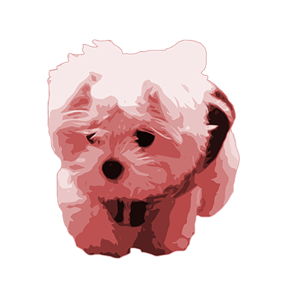 Cute Awesome Animals Sticker Pack messages sticker-9