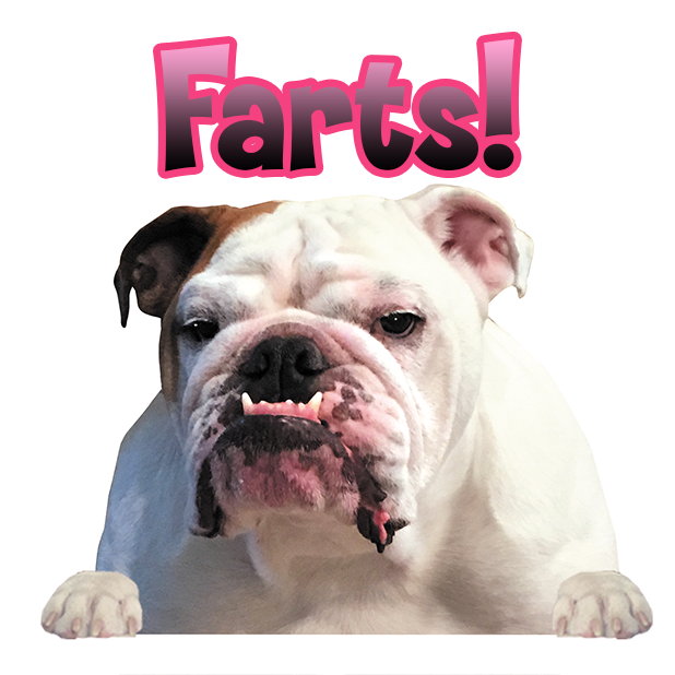 MyDoginTheWindow messages sticker-4