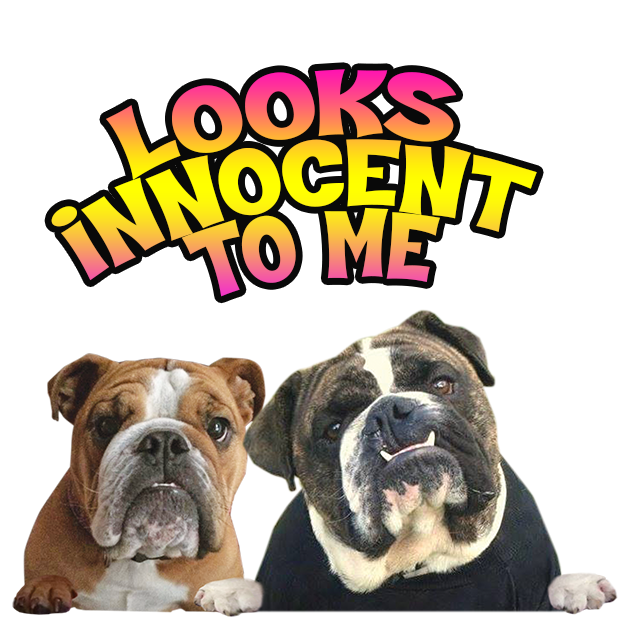 MyDoginTheWindow messages sticker-10