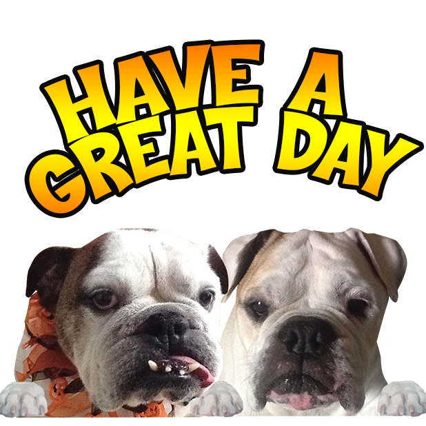 MyDoginTheWindow messages sticker-6