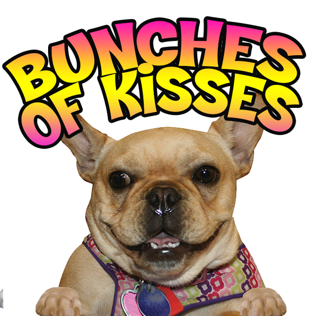 MyDoginTheWindow messages sticker-11
