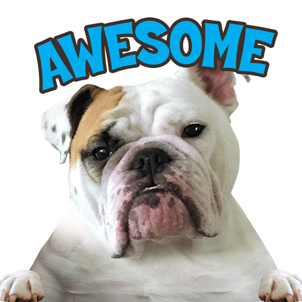 MyDoginTheWindow messages sticker-1