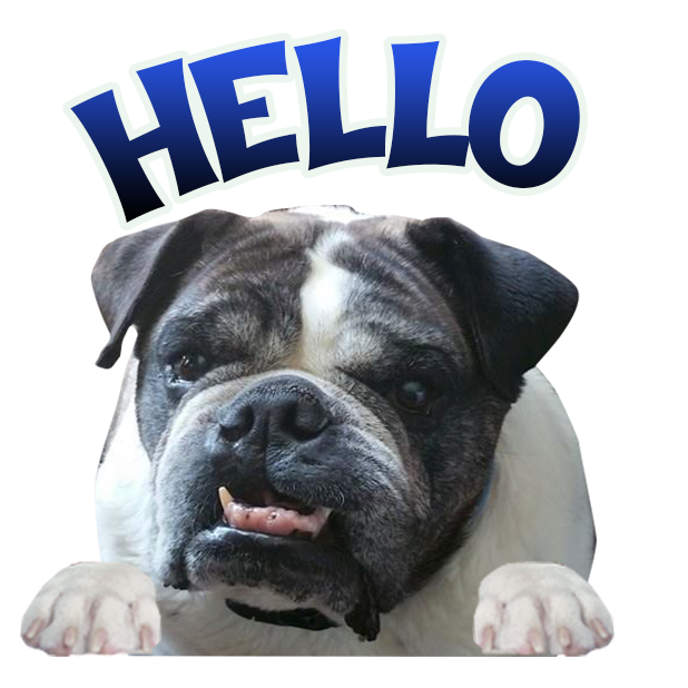 MyDoginTheWindow messages sticker-9