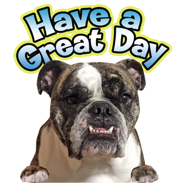MyDoginTheWindow messages sticker-7