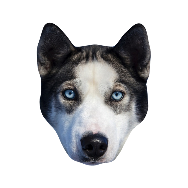Dog Stickers (for iMessage) messages sticker-3