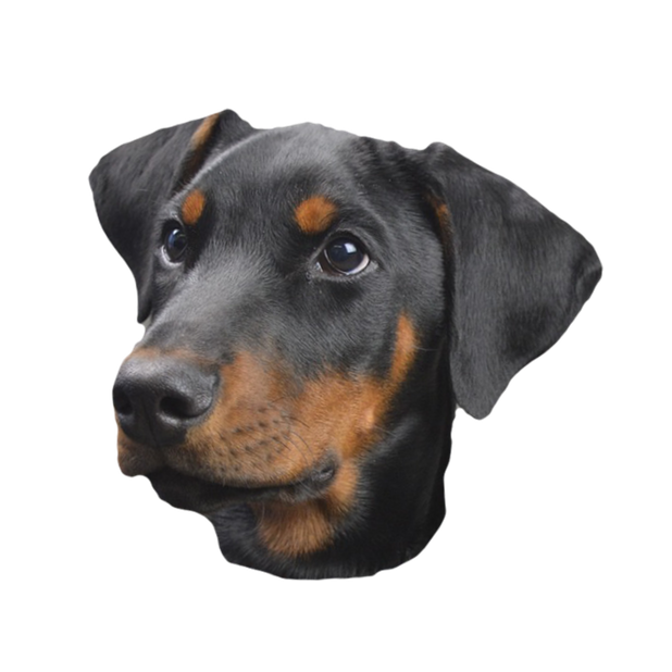 Dog Stickers (for iMessage) messages sticker-2