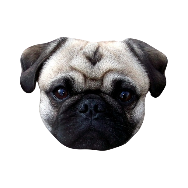 Dog Stickers (for iMessage) messages sticker-5