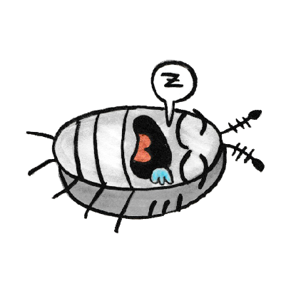 Sammy the Pillbug Stickers messages sticker-3