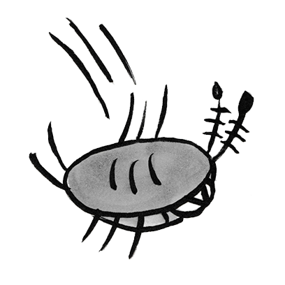 Sammy the Pillbug Stickers messages sticker-4