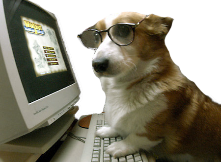 Corky Corgi messages sticker-4