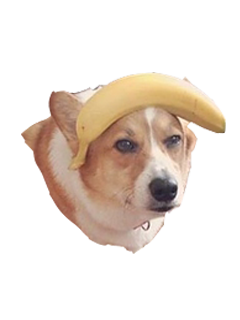 Corky Corgi messages sticker-7