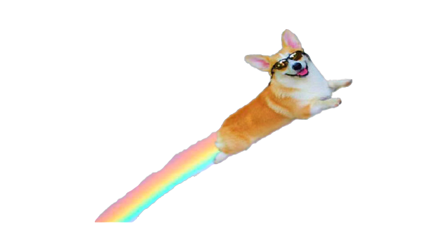 Corky Corgi messages sticker-6