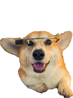 Corky Corgi messages sticker-8