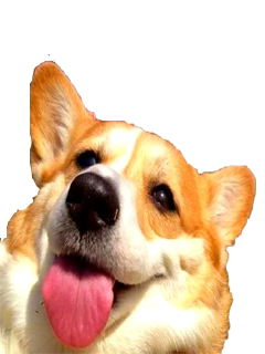 Corky Corgi messages sticker-3