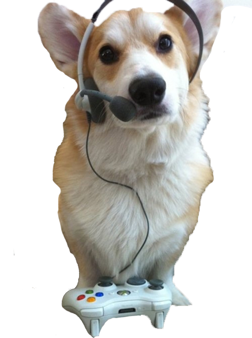 Corky Corgi messages sticker-7