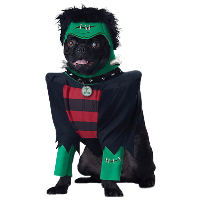 Halloween Dogs messages sticker-8