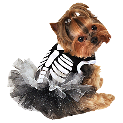 Halloween Dogs messages sticker-0