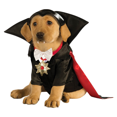 Halloween Dogs messages sticker-2