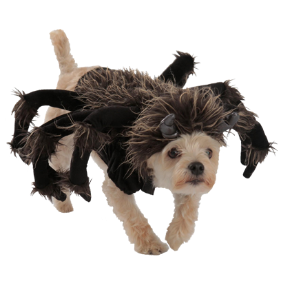 Halloween Dogs messages sticker-1