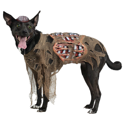 Halloween Dogs messages sticker-11
