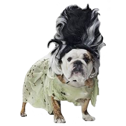 Halloween Dogs messages sticker-7