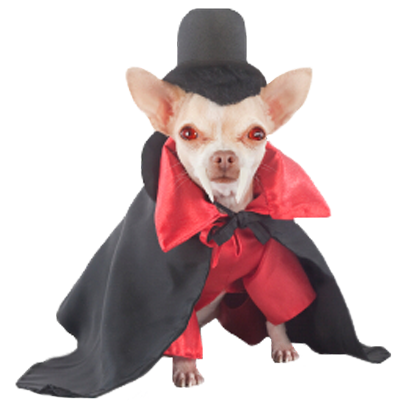 Halloween Dogs messages sticker-10