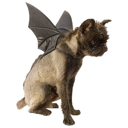 Halloween Dogs messages sticker-9