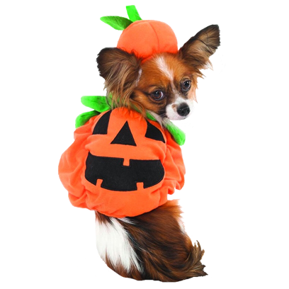 Halloween Dogs messages sticker-3