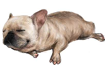 Dogue free pack messages sticker-1