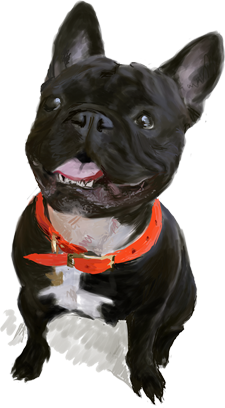 Dogue free pack messages sticker-3