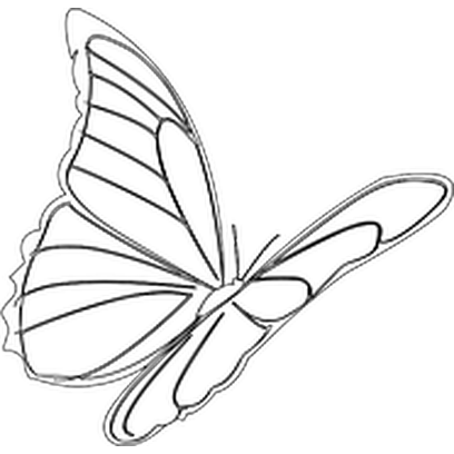 Butterflies Three messages sticker-3