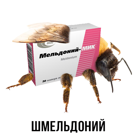 Шлакoблокунь messages sticker-11