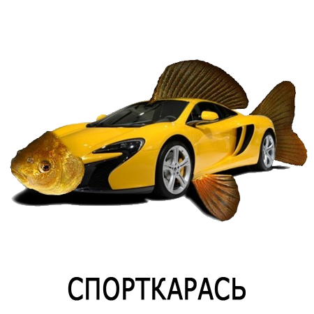 Шлакoблокунь messages sticker-7