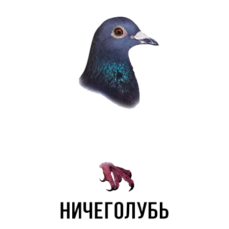 Шлакoблокунь messages sticker-10