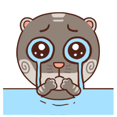 猫子表情包-超可爱动态贴纸 messages sticker-6