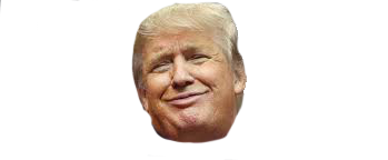 Make Stickers Great Again messages sticker-6