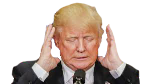 Make Stickers Great Again messages sticker-4
