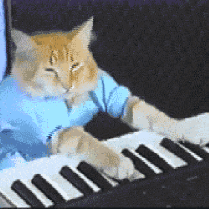 Keyboard Cat Stickers! messages sticker-0