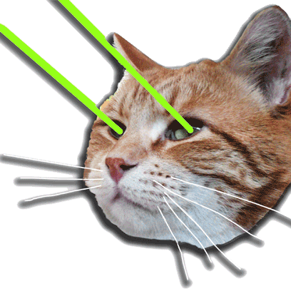 Keyboard Cat Stickers! messages sticker-4