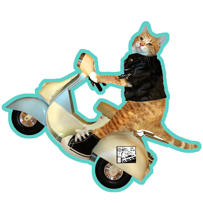 Keyboard Cat Stickers! messages sticker-8