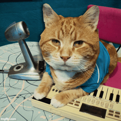 Keyboard Cat Stickers! messages sticker-3
