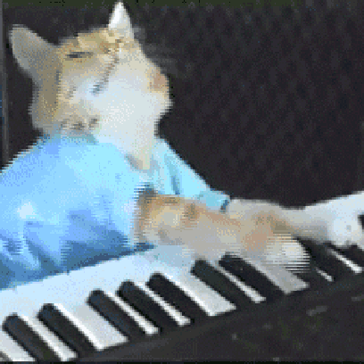 Keyboard Cat Stickers! messages sticker-2