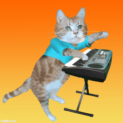 Keyboard Cat Stickers! messages sticker-5