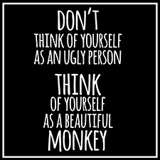 Funny Quotes Stickers messages sticker-11