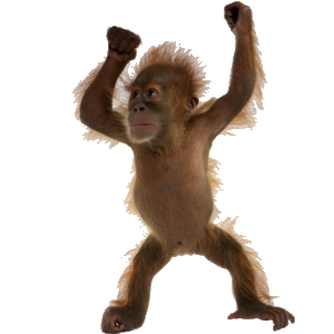 MonkeyStickerpack messages sticker-2