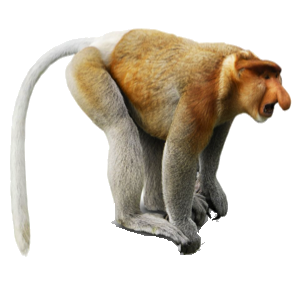 MonkeyStickerpack messages sticker-6