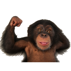MonkeyStickerpack messages sticker-0