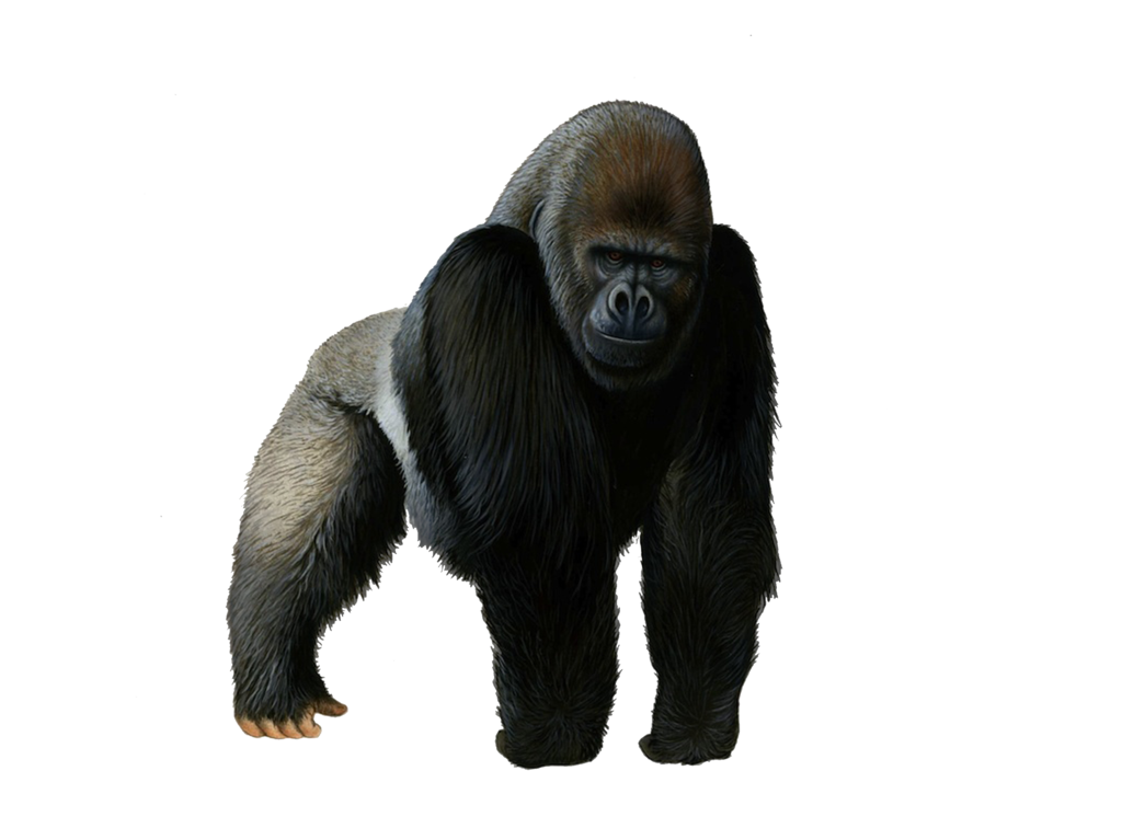 MonkeyStickerpack messages sticker-7