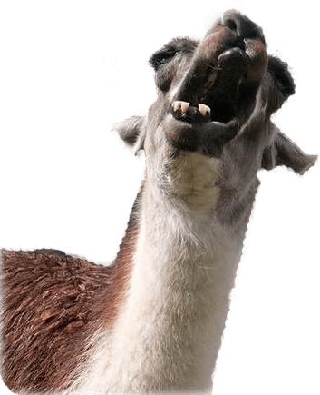 Animal Photobombs - Free, Classic, Horse, Llama messages sticker-8